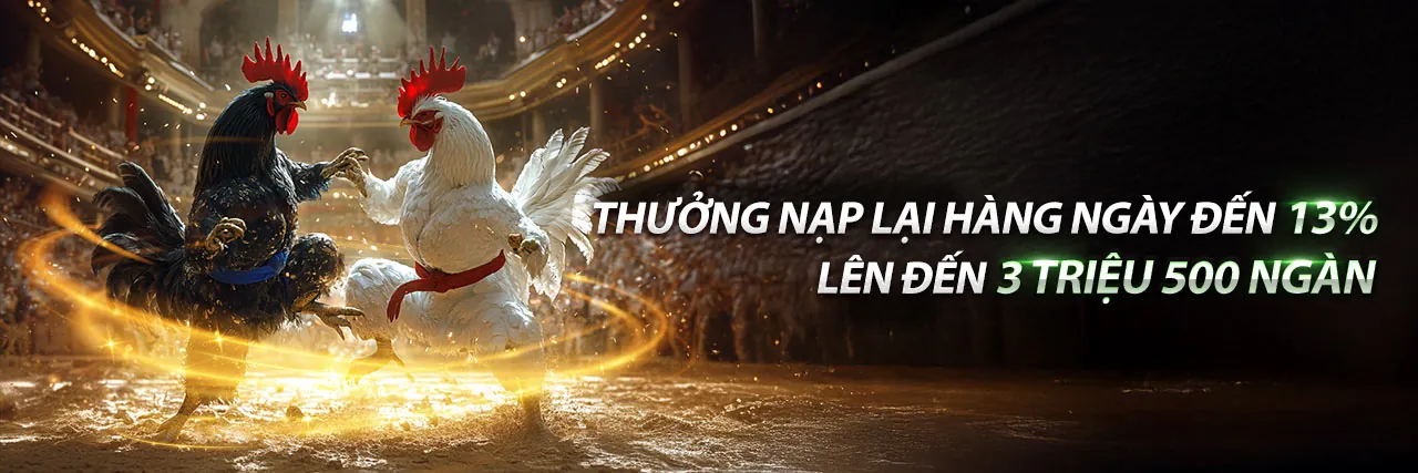 Đá Gà Trực Tuyến hcm882 - Sân Chơi Đỉnh Cao