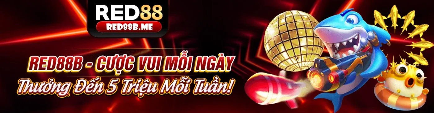 Sân vận động thể thao sôi động của hcm882