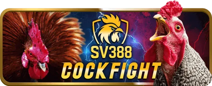 Cá cược bóng đá hcm882